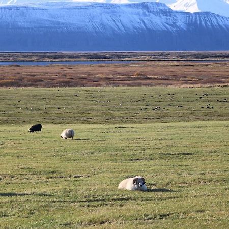 Laxhus Villa Husavik Luaran gambar